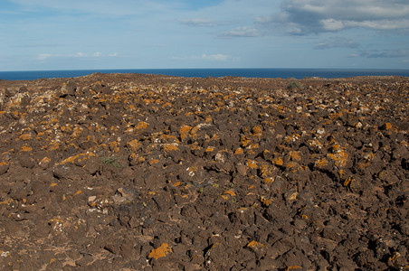云视界摄影照片_地衣覆盖的熔岩场。