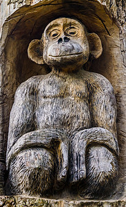 动物雕塑摄影照片_美丽的雕刻木猴雕塑、木艺术品、动物园和花园装饰