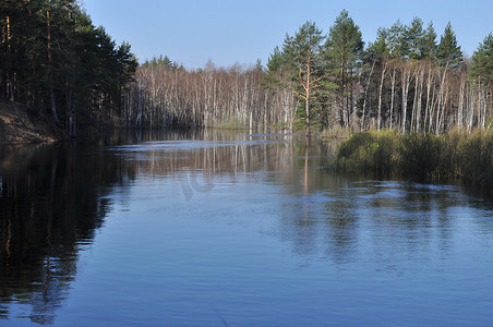 春天的河流景观。