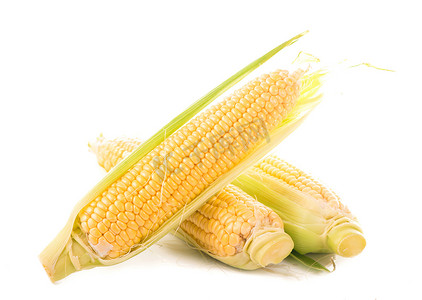 白色背景中带绿叶的生玉米