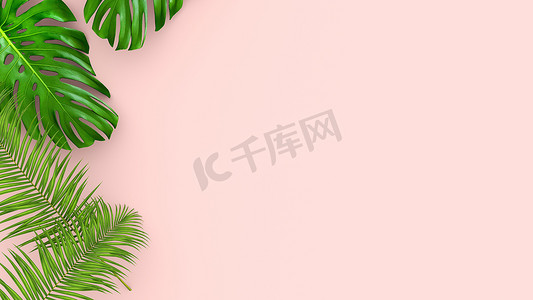 化妆品插画摄影照片_粉红色背景上逼真的棕榈叶的 3D 渲染，用于化妆品广告或时装插画。