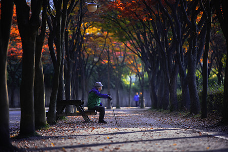 秋天的落叶或秋天在韩国仁川泰康元公园