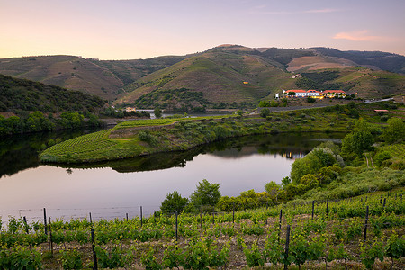 葡萄牙金塔杜特多杜罗葡萄酒谷地区的弯河在日落时分