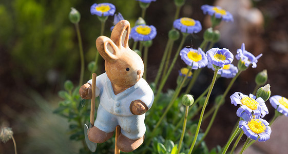 花盆里的小木兔