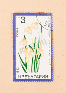 俄罗斯 — 大约 1982 年：俄罗斯印的邮票显示一朵花，c