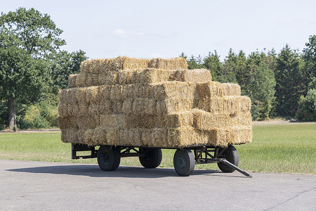 堆放稻草包的普通旧农用货车