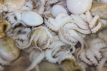 八市摄影照片_泰国市场上的章鱼和其他海鲜