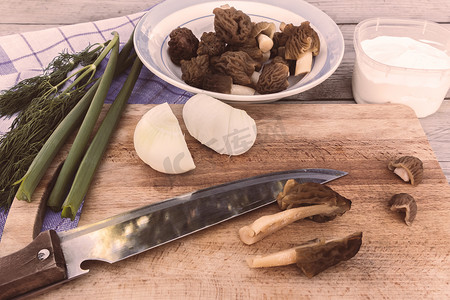 羊肚菌绘摄影照片_用酸奶油和洋葱烹制春季羊肚菌蘑菇