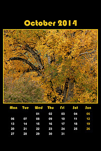 2014 年-10 月的自然日历