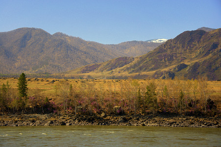 风景如画的山谷，阿尔泰山脉的一条河流。
