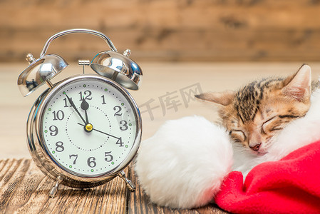小猫咪在闹钟旁边戴着圣诞帽睡觉