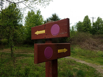 带箭头的圆圈摄影照片_带紫色圆点和箭头、树木和小径或小路的木牌