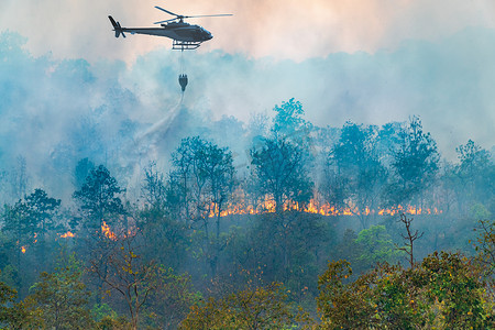 中火摄影照片_直升机在森林火灾中倾倒水
