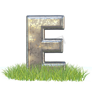 镀锌金属字体 Letter E in grass 3D