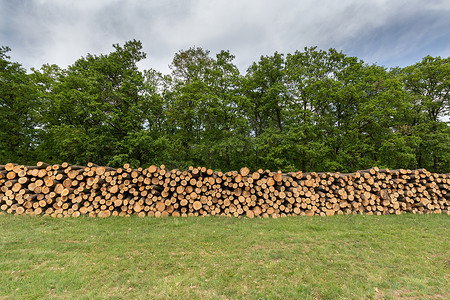 堆叠的原木。