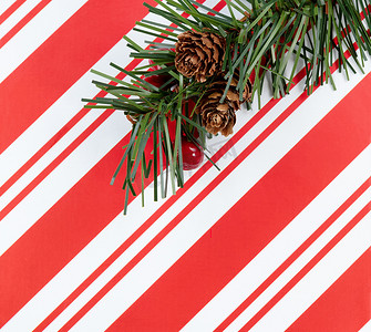 传统图案边框摄影照片_圣诞条纹图案与冷杉树枝假日黑色