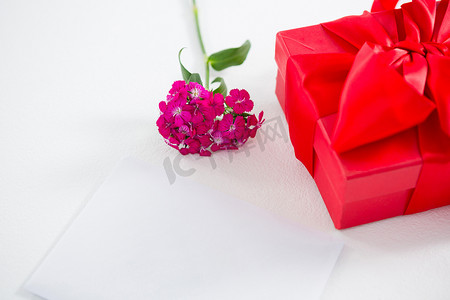 礼品盒和粉色花，带白纸