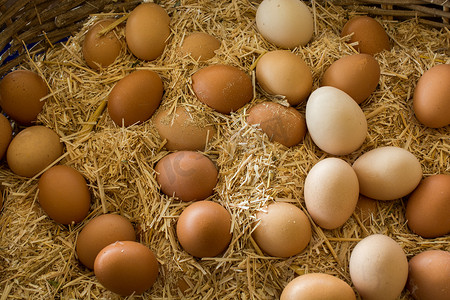 市场上的有机新鲜农场鸡蛋