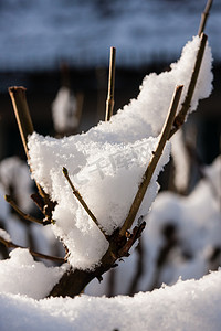 七一大气摄影照片_雪