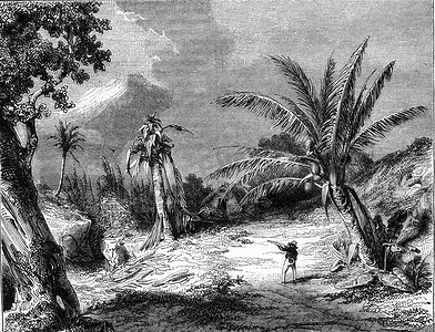 古色古香风景摄影照片_瓜德罗普岛的风景，复古版画。