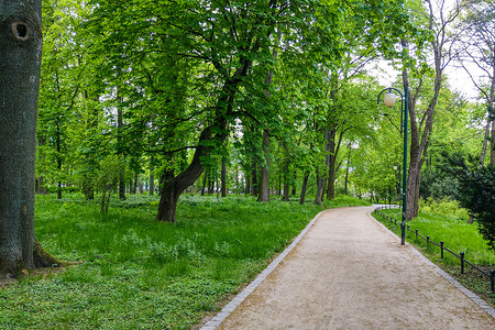 春天绿树摄影照片_探索公园、绿树、自然背景的小路。