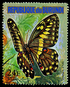 布隆迪共和国-大约 1974 年：在布隆迪印刷的邮票显示一只蝴蝶 Papillo Demodocus，系列，大约 1974 年