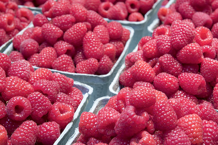 水果商店摄影照片_盒子里的红树莓
