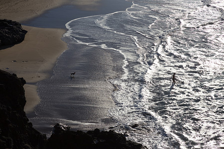 男人和狗在海边玩的剪影。