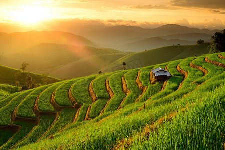 Ban Papongpieng Chiangmai 日落背景下的水稻梯田