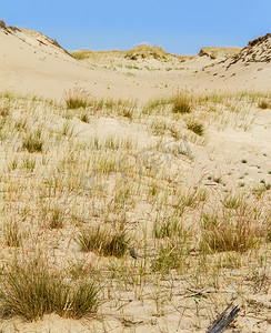 dune摄影照片_Dune Nagliu，库尔斯沙嘴，立陶宛