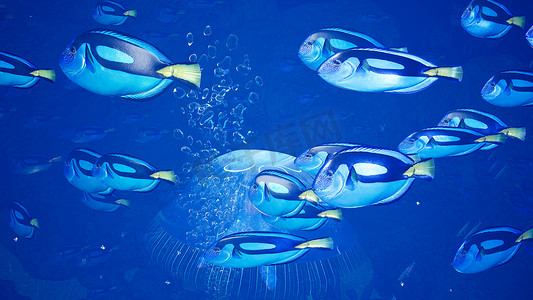 荧光海洋摄影照片_美妙的热带海洋生物。