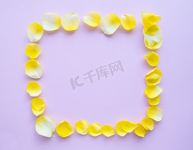 粉色文本框摄影照片_玫瑰花瓣在柔和的粉红色背景上的花框。