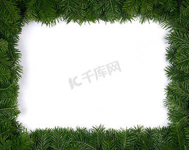 圣诞节绿色边框装饰摄影照片_冷杉树枝的圣诞边框