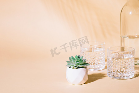 淡彩摄影照片_淡色背景中带热带棕榈叶阴影和多汁植物的一杯水