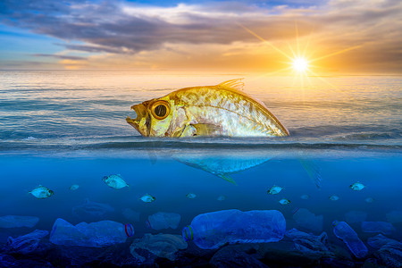 濒临死亡、漂浮在水面上的鱼、塑料废物对海洋自然保护概念和海洋的影响