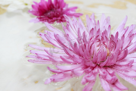漂浮的粉色水疗花