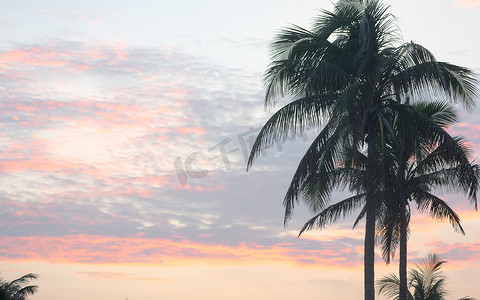 山水壁纸摄影照片_在剧烈的红色日落天空背景剪影的可可椰子树。