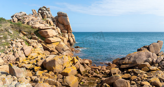 海边玫瑰摄影照片_在布列塔尼阿莫尔海岸徒步旅行