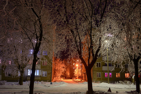 透过白雪皑皑的树枝，房屋的夜窗。