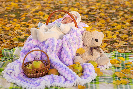 为梦想摄影照片_为睡在公园篮子里的两个月大婴儿准备的即兴野餐