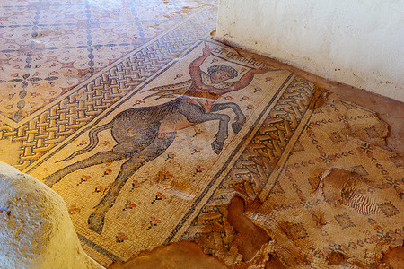 人马logo摄影照片_带有半人马形象的马赛克地板，尼罗河房屋，Tzipori