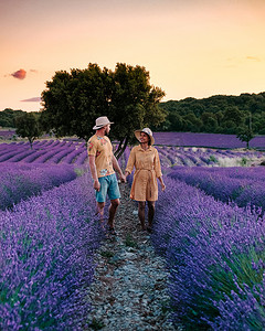 夫妇在法国普罗旺斯度假，参观法国普罗旺斯的薰衣草田