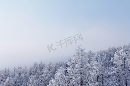 冬季山林摄影照片_索尔登的冬季山林