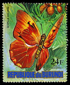 布隆迪共和国-大约 1974 年：在布隆迪印刷的邮票显示一只蝴蝶 Catopsilia Avelaneda，系列，大约 1974 年
