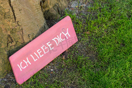 树脚下的粉色标语用德语 Ich liebe dich 写着“我爱你”