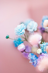 水粉贺卡摄影照片_花园中的花朵、花卉之美和植物学背景，用于婚礼请柬和贺卡、自然和环境概念