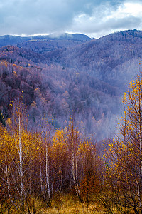 罗马尼亚山区的秋季景观