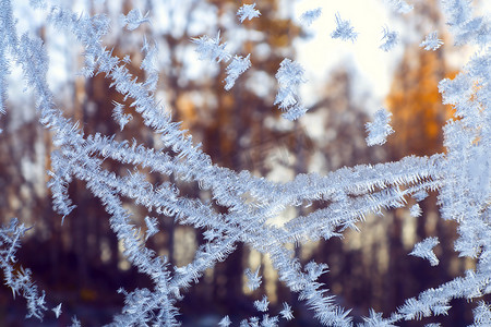 日落时分，森林外的冬窗上结霜的雪花图案