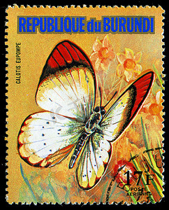 布隆迪共和国-大约 1974 年：在布隆迪印刷的邮票显示一只蝴蝶 Calotis Eupompe，系列，大约 1974 年