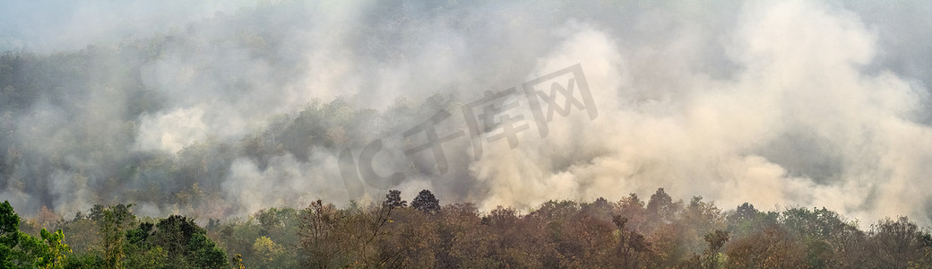 亚马逊热带雨林火灾正在以科学家从未见过的速度燃烧。